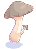 Ilustración de Edible Mushroom