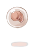 Ilustración de Embryo