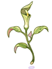 Ilustración de Poison Herb Seratum