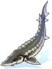 Ilustración de Sturgeon