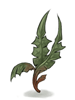 Ilustración de Bitter Herb