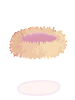 Ilustración de Bird Nest