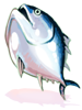 Ilustración de Bonito