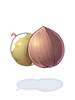 Ilustración de Coconut Fruit