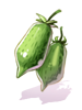 Ilustración de Silvervine Fruit