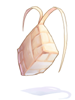 Ilustración de Ketupat