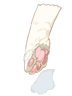 Ilustración de Paw Of Cat