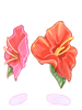Ilustración de Hibiscus