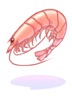 Ilustración de Shrimp