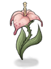 Ilustración de Wild Flower