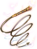 Ilustración de Heart Whip