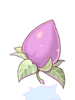 Ilustración de Mastela Fruit
