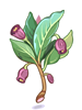 Ilustración de Poison Herb Scoporia