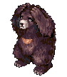 Sprite de Zipper Bear